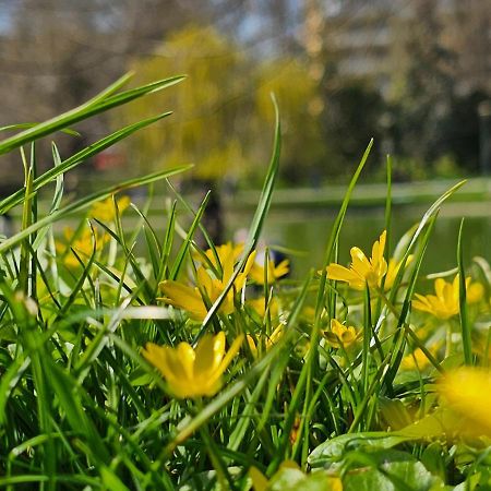 Apartament Central Park Кельце Экстерьер фото